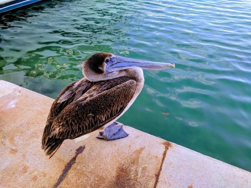 Bahia Principe & Golf Residences Тулум Екстериор снимка